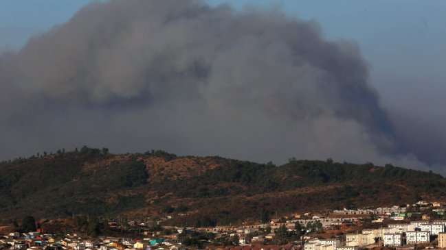 Conaf: En los primeros días de 2019 llevamos un tercio de los incendios de la temporada