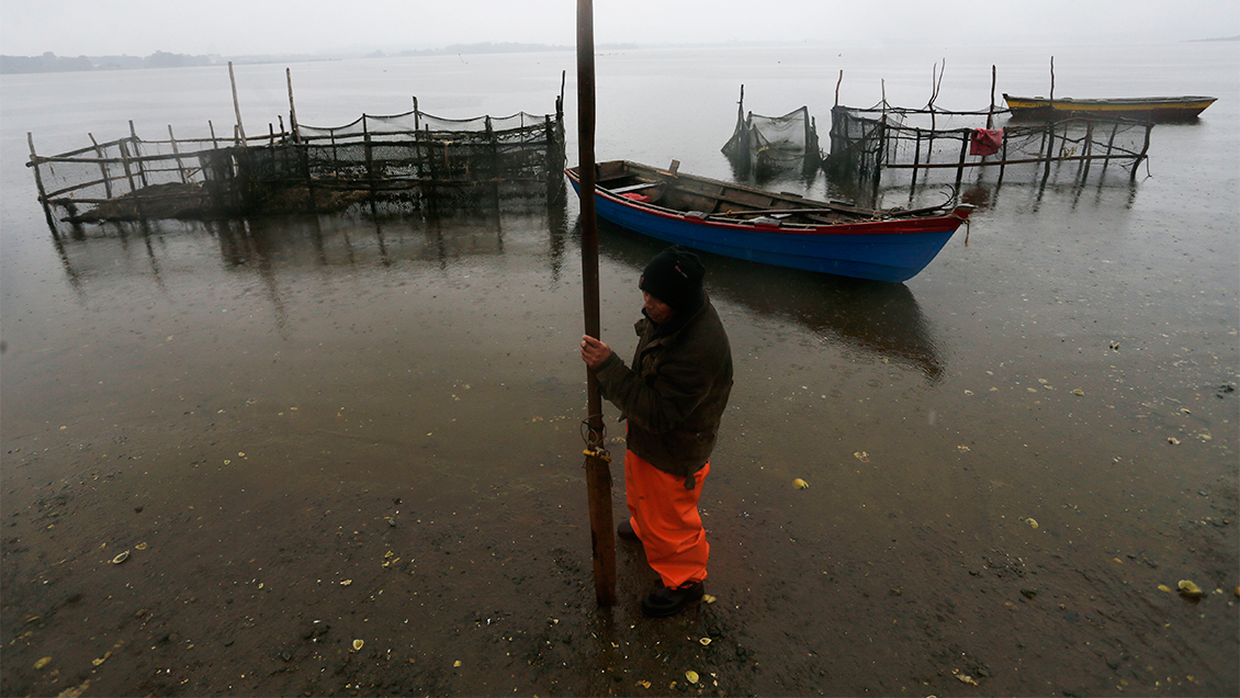 En Valparaíso discutirán competencia de tribunal por vertimiento de salmones en Ancud