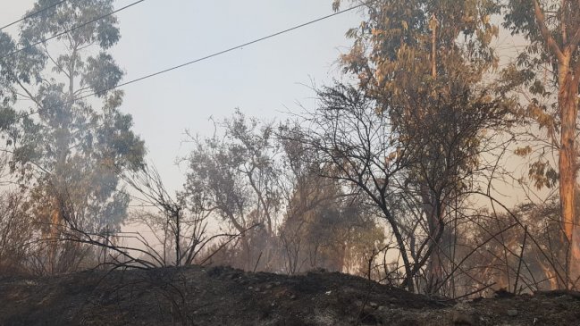 Incendio forestal de Santo Domingo alcanza las 1.840 hectáreas consumidas