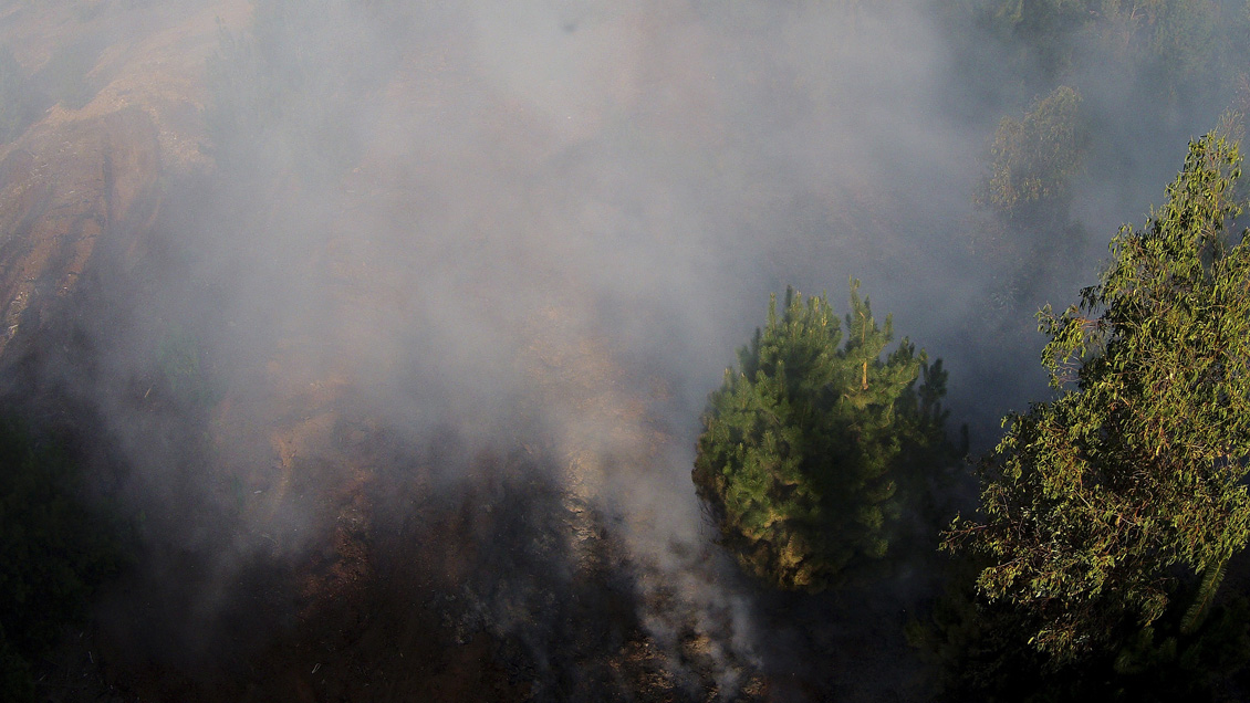 Balance: Tres incendios forestales siguen activos en el país