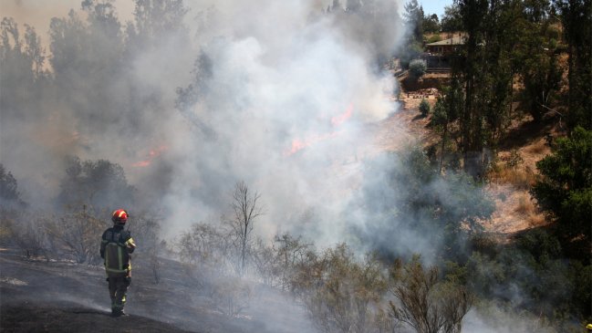 Balance de Onemi: Cinco incendios forestales siguen activos en el país