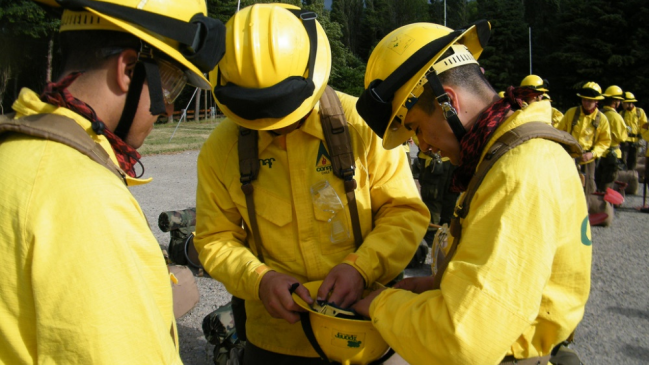 Abren curso para brigadistas forestales en la Región de Ñuble