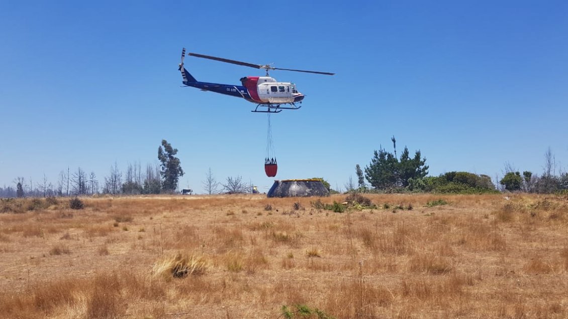 21 comunas registran riesgo de incendio forestal durante esta semana en O'Higgins