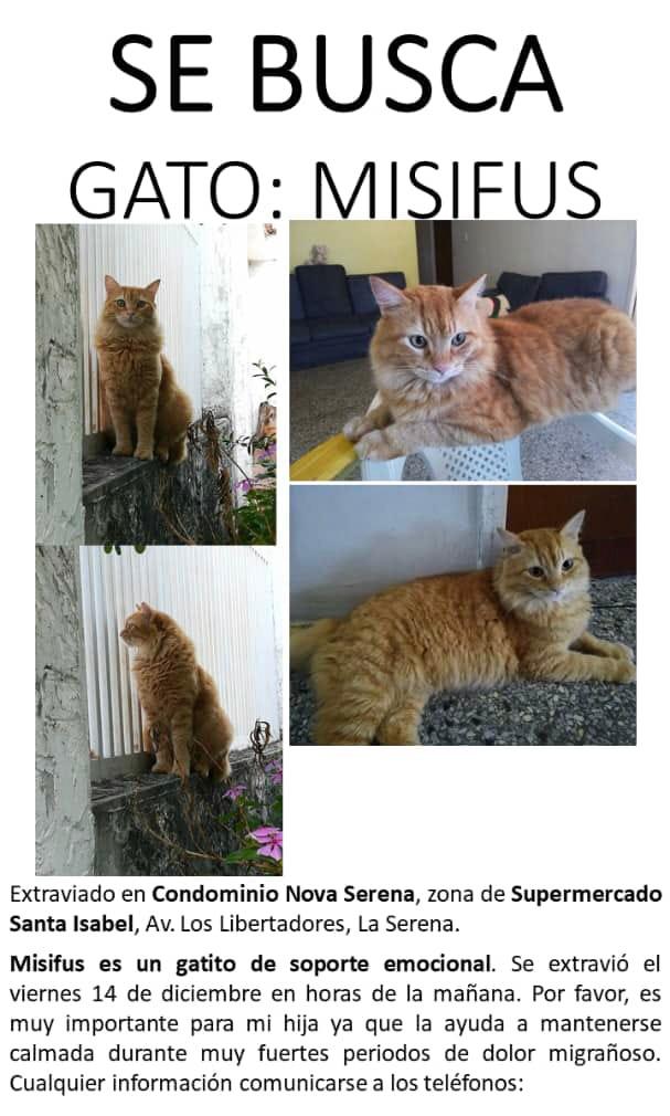 Imagen foto_00000002