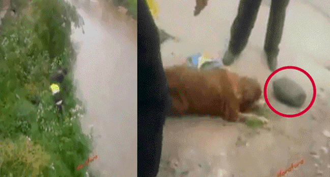 Imagen foto_00000002