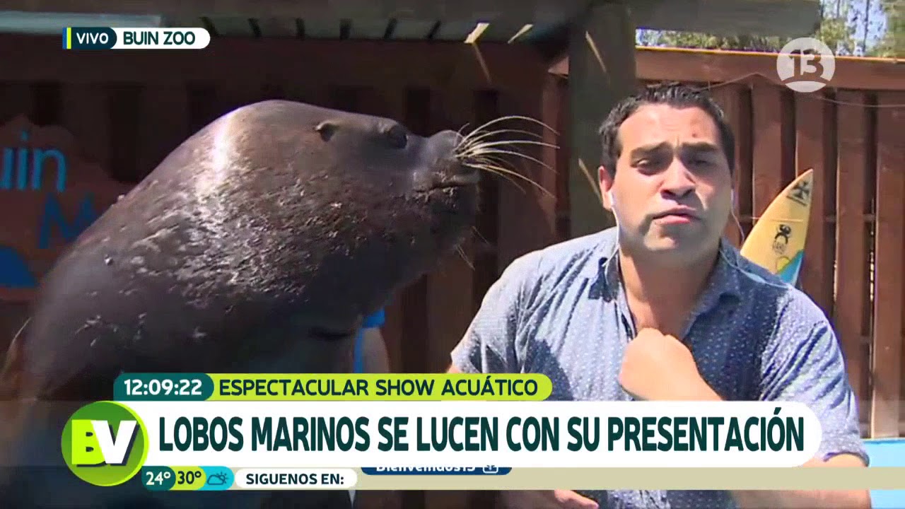 Imagen foto_00000001