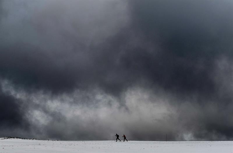 Niño murió aplastado por un árbol en Alemania en medio de intensas nevadas