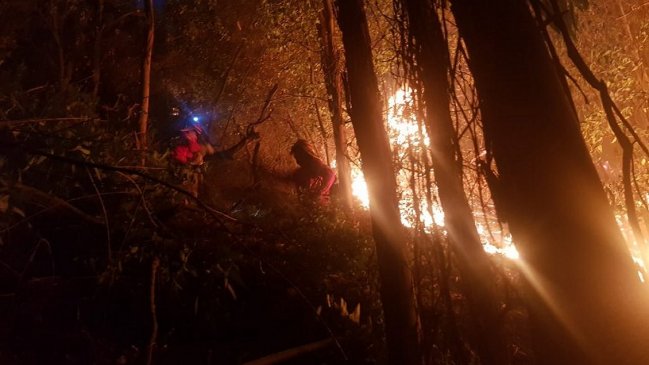 Incendio forestal con rápido avance afecta a Pirque