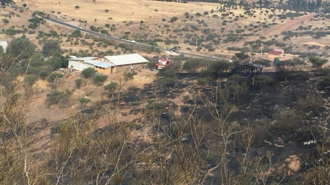 Incendio forestal en Melipilla fue controlado