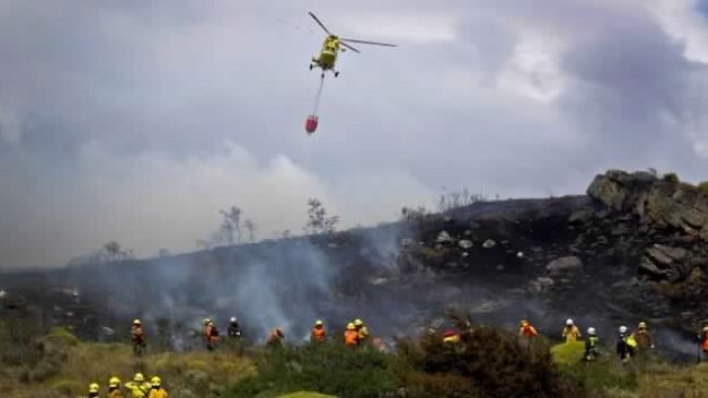Conaf combate tres incendios activos en la precordillera de La Araucanía