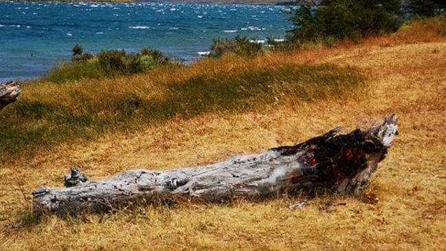 Visitante que apagó mal un cigarro provocó foco de incendio forestal en Torres del Paine