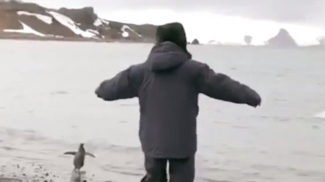  Presidente Piñera imitó a un pingüino en la Antártica  