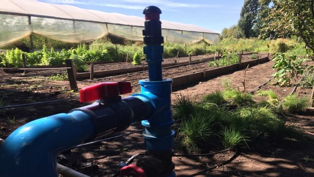 Agricultores del Biobío recibieron bonos de riego para enfrentar la sequía