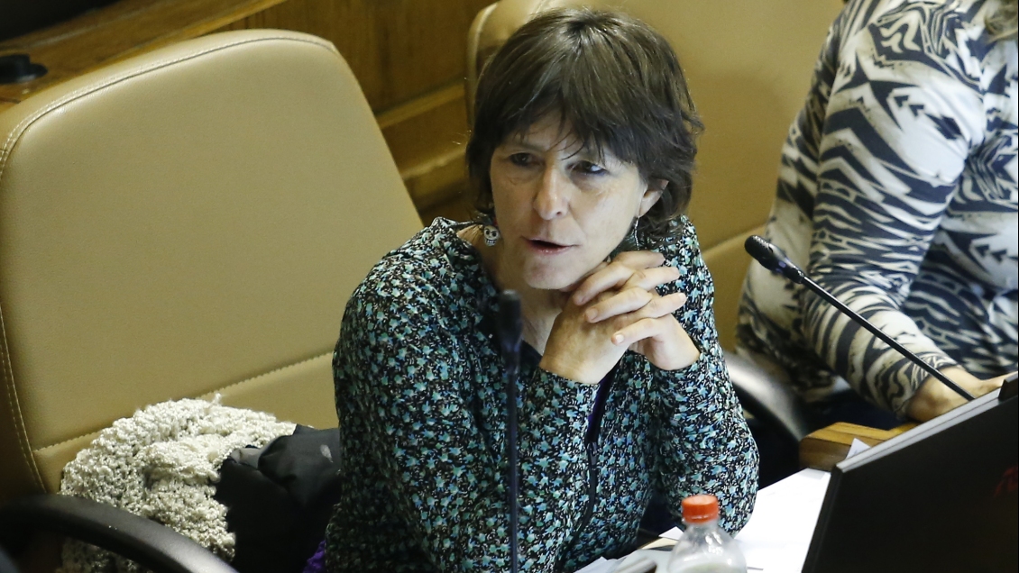 Diputada Girardi acusó al Gobierno de defender Admisión Justa con argumentos falsos