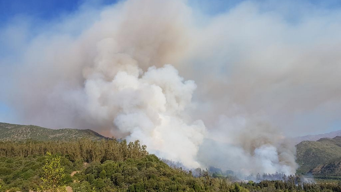 Alerta roja por incendio forestal en Machalí