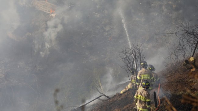 Corma: Bajaron hectáreas arrasadas por incendios, pero febrero será 