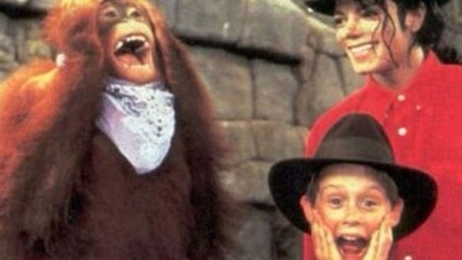 Imagen foto_00000016