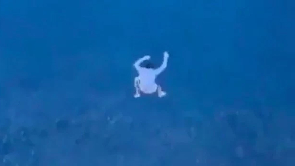 Compañía de cruceros vetó de por vida a pasajero que se tiró al mar