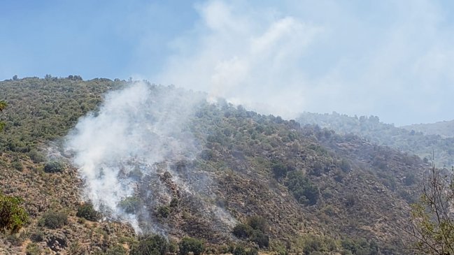 Declaran alerta amarilla en la provincia de Cachapoal por simultaneidad de incendios forestales
