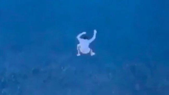 Compañía de cruceros vetó de por vida a pasajero que se tiró al mar