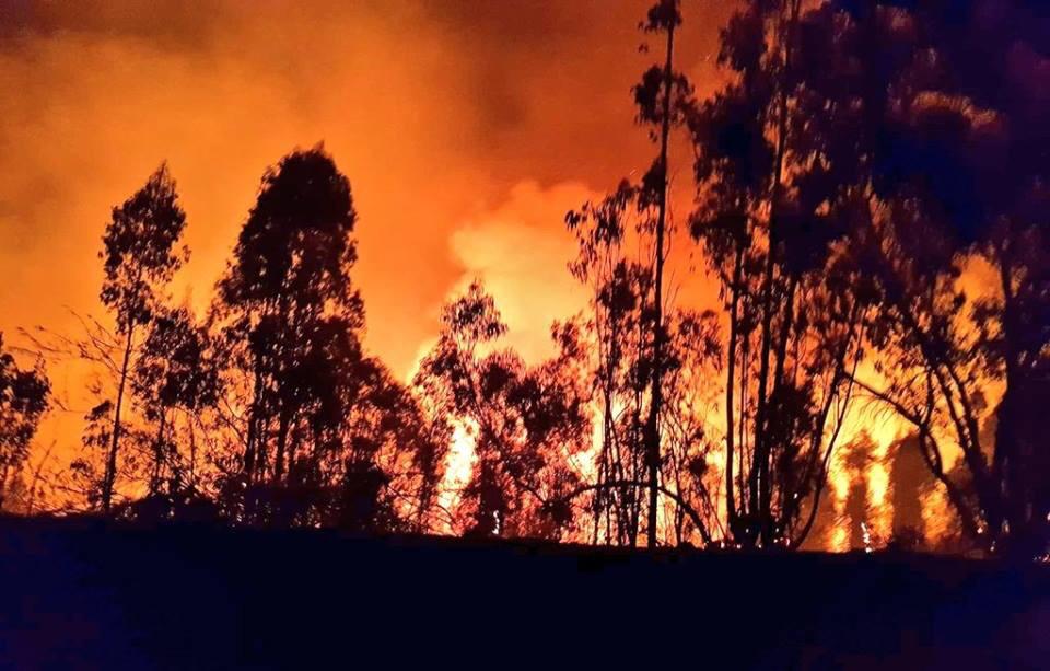 Agricultores afectados por incendio de Santo Domingo recibirán recursos de emergencia