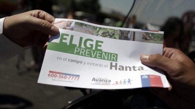 Confirman el cuarto caso de virus hanta en Chile del 2019