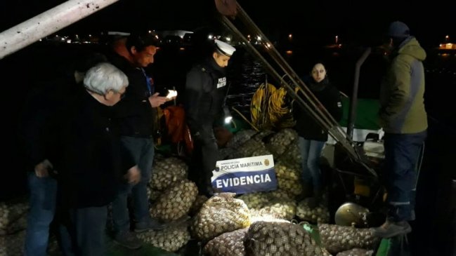 Calbuco: Autoridad marítima decomisó almejas con marea roja