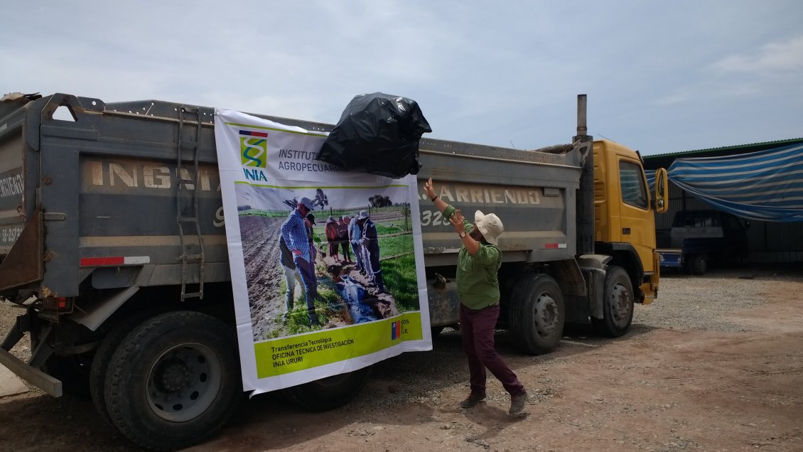 Arica: Recolectan más de mil envases de plaguicidas de los valles de Lluta y Azapa