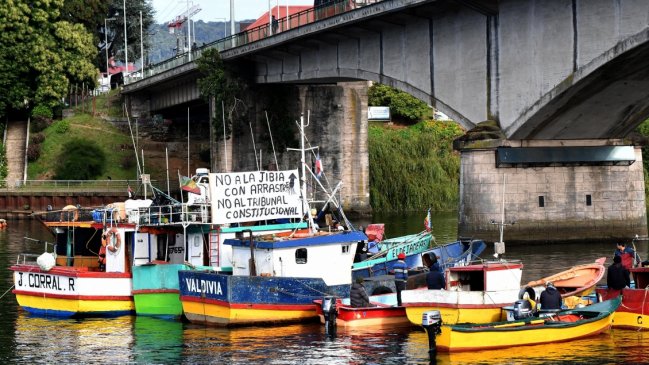 Diputado PC asegura que el Gobierno renunció al veto y promulgará ley de la jibia