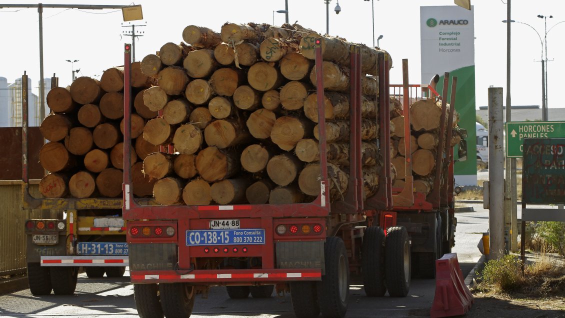 Conadi: Hay buena intención de las forestales para solucionar el problema de tierras