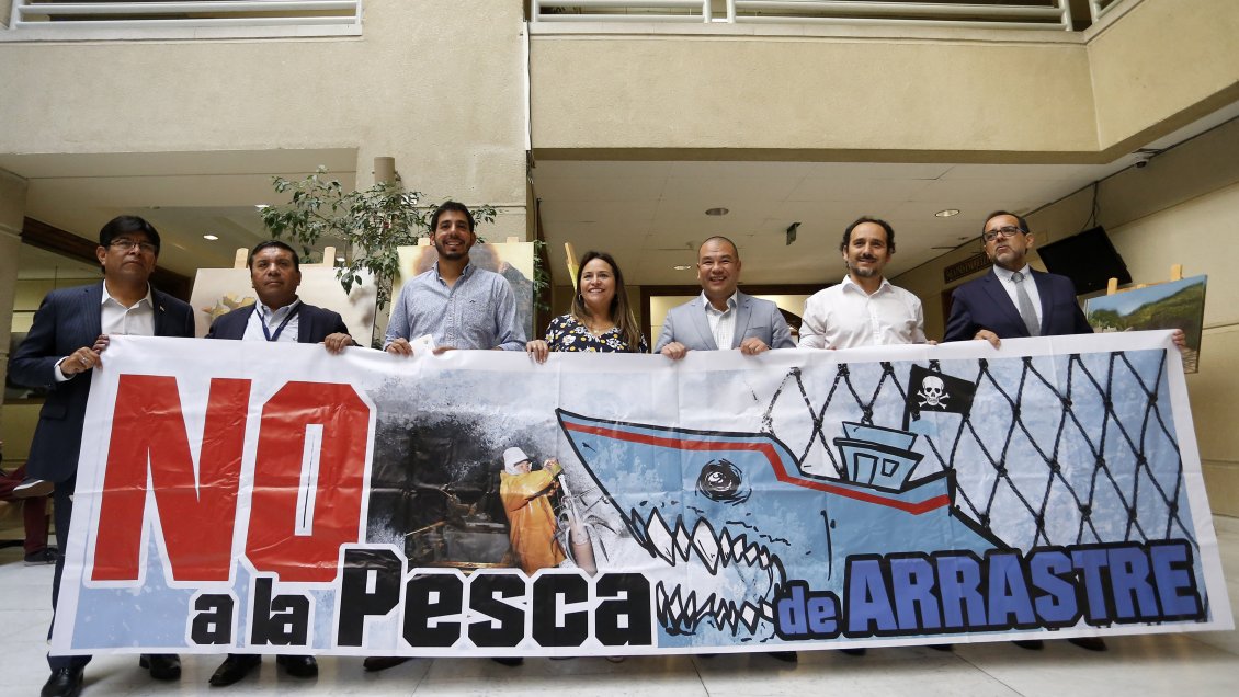 Diputado y Ley de la Jibia: 