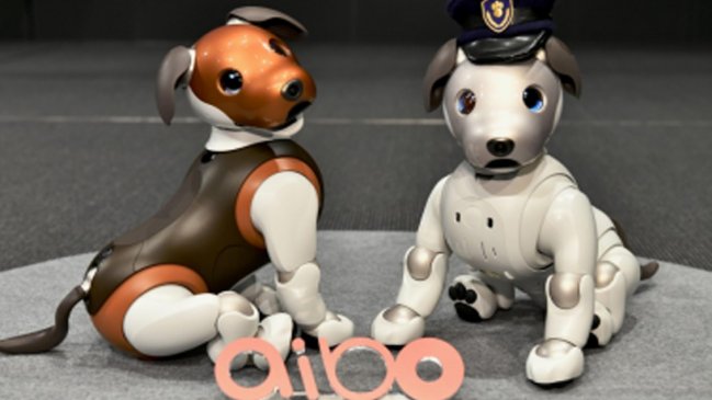  Aibo, el perro robot de Sony, ahora es policía  