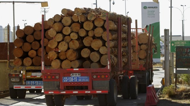 Conadi: Hay buena intención de las forestales para solucionar el problema de tierras
