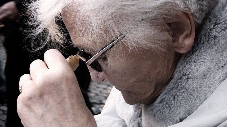 Identifican bacteria clave en el desarrollo del Alzheimer