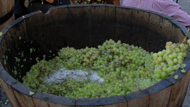Viñateros no quedaron conformes tras reunión con Ministro Walker en Ñuble