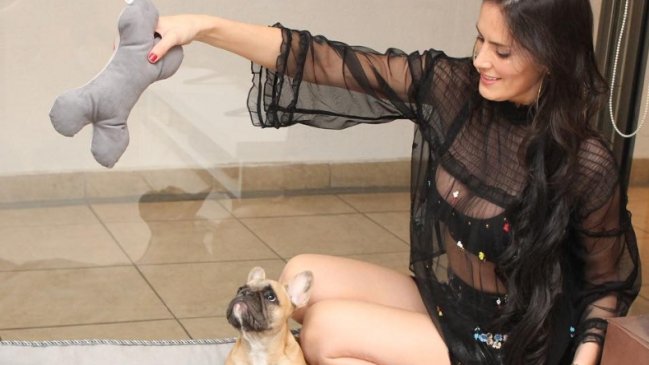 Perrita de Adriana Barrientos lucha por su vida tras operación