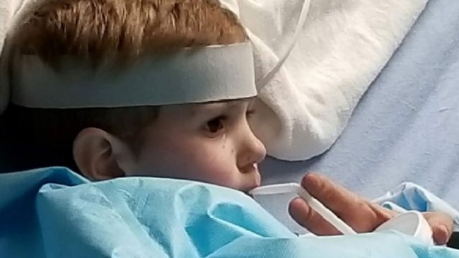 Encuentran con vida a niño desaparecido: Asegura que un oso lo cuidó en el bosque