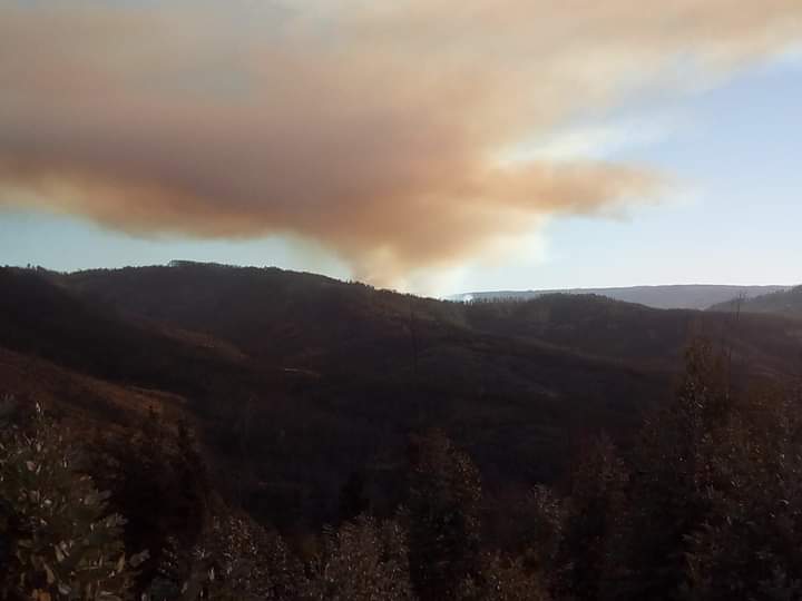 Declaran Alerta Amarilla por incendios forestales en cuatro comunas del Maule