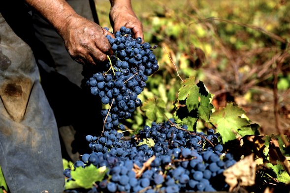 Imagen foto_00000002