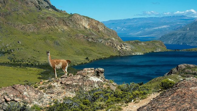 Gobierno apunta a administración Bachelet por Parque Nacional Patagonia