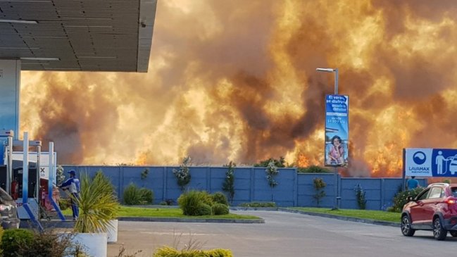 Incendio forestal amenazó a estación de servicio en Puerto Montt