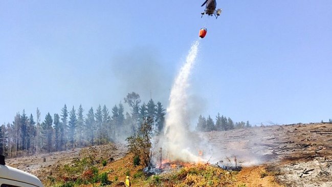 Onemi canceló alerta roja tras incendio en cerro de Temuco