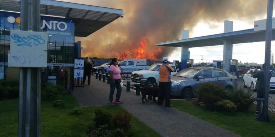 Alerta por riesgo de incendios forestales en Puerto Montt debido a altas temperaturas