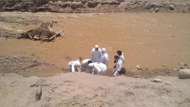 Imagen foto_00000002