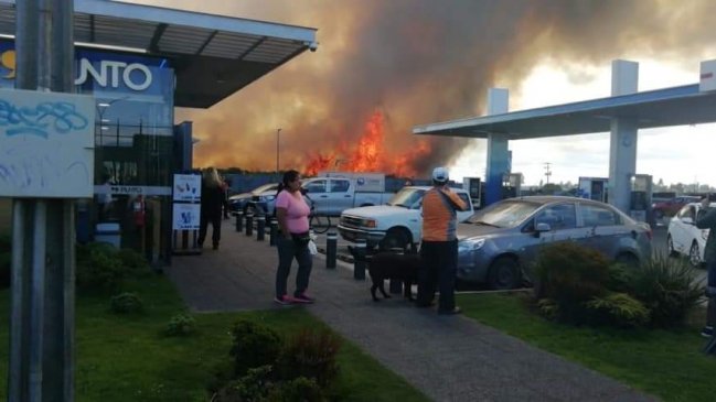 Alerta por riesgo de incendios forestales en Puerto Montt debido a altas temperaturas