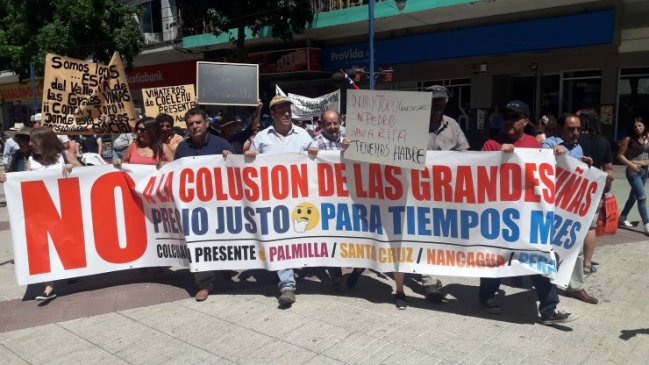 Viñateros botaron vino y regalaron borgoña en Chillán