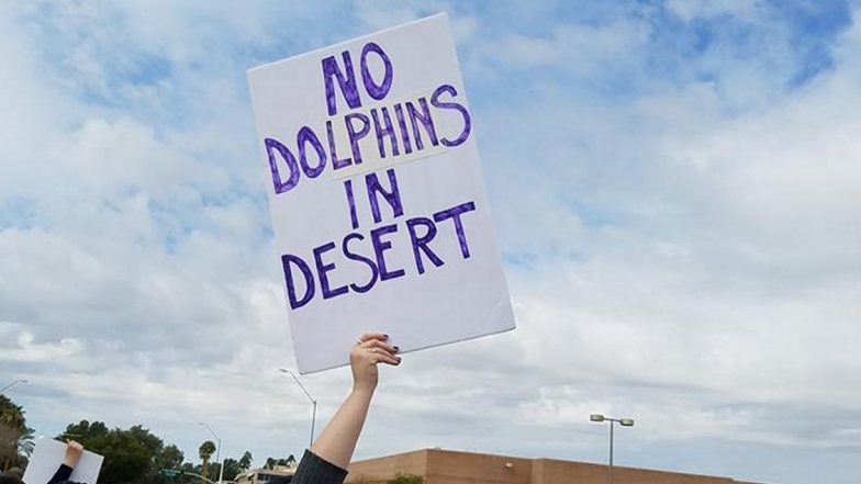 Imagen foto_00000017