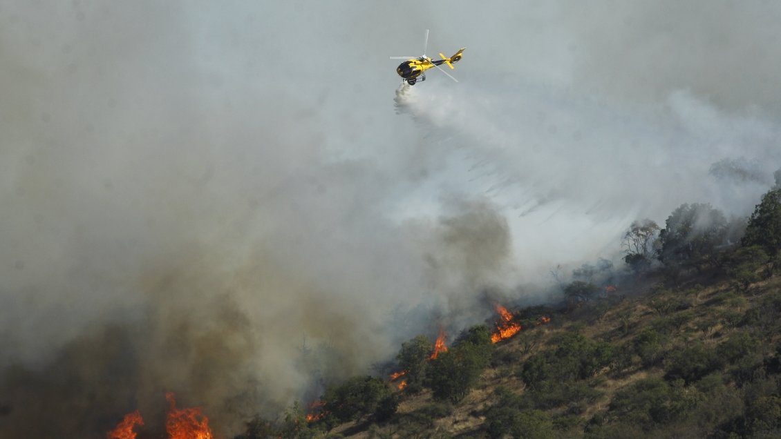 Estudian querellas por presunta intencionalidad de incendios forestales en Concepción