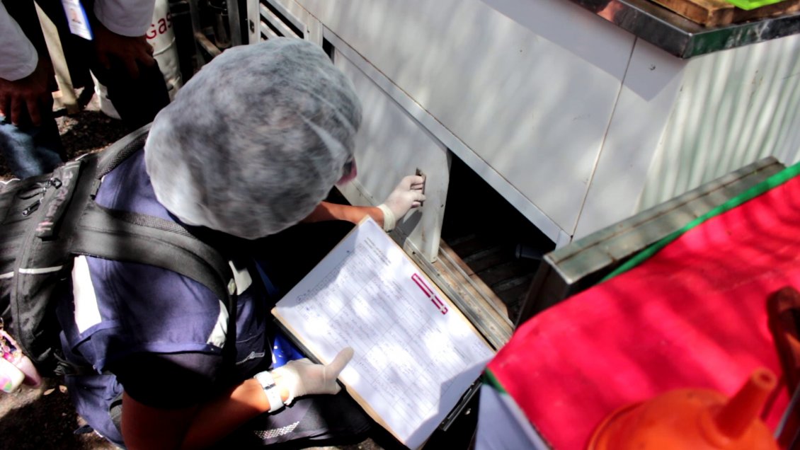 Seremi de Salud (s) fiscalizó locales de la Fiesta de la Candelaria