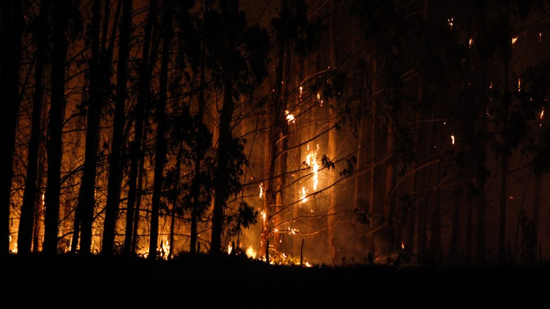 Los incendios forestales que afectan a la zona centro sur